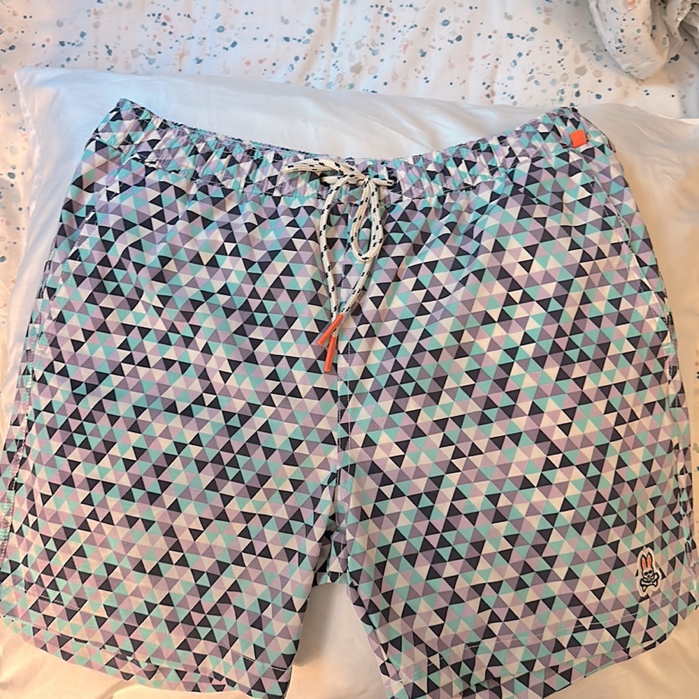 Psycho Bunny swimsuit. Multi-colored with geometric shapes on it.